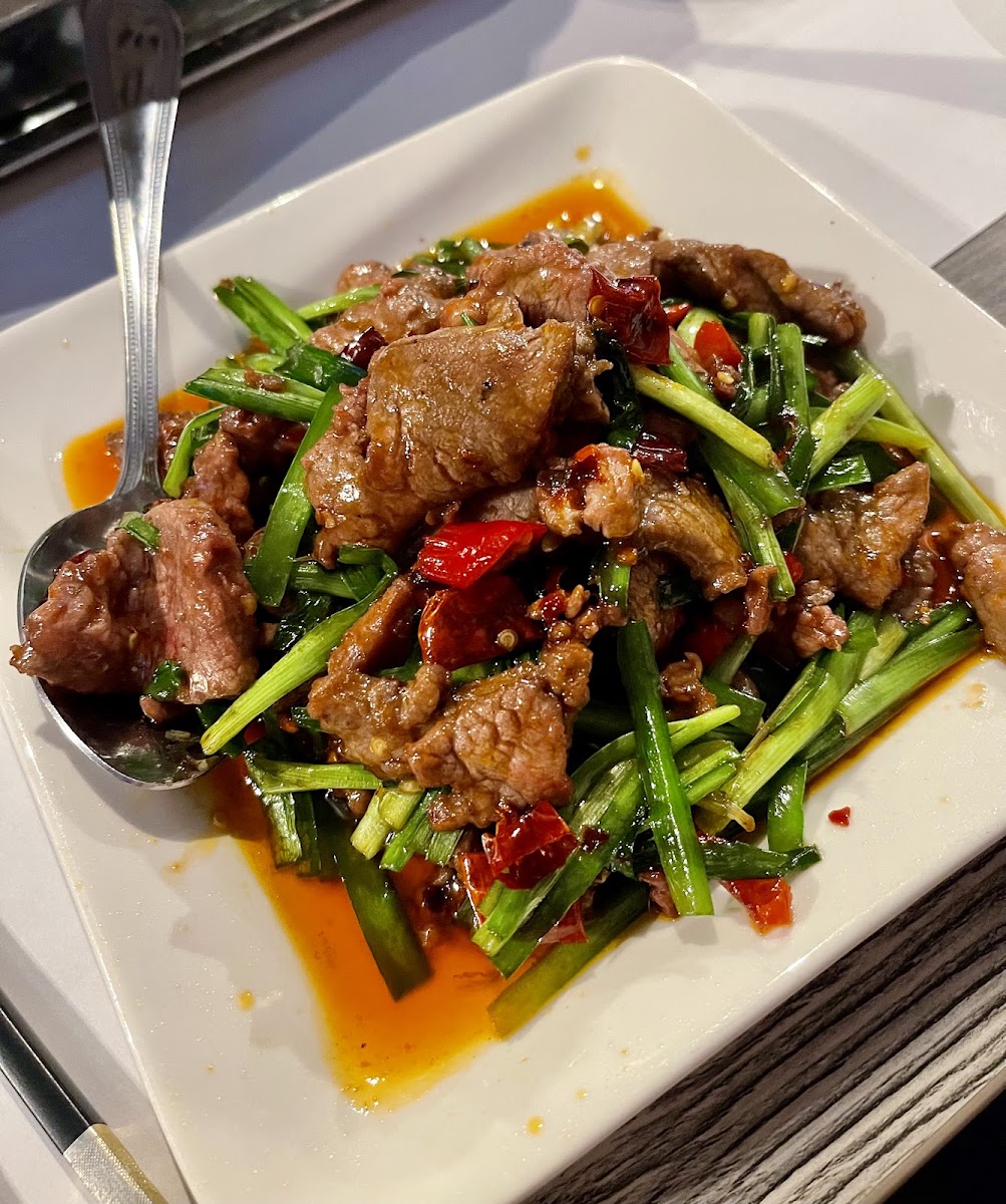 Banner Night Mitty 02